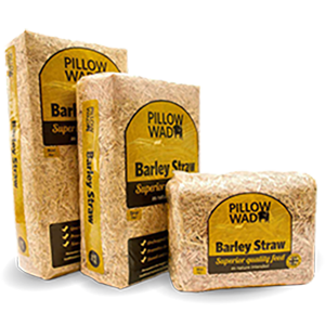 Pillow-Wad Barley Straw
