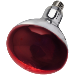Intelec Infra-red Bulb-150watt red