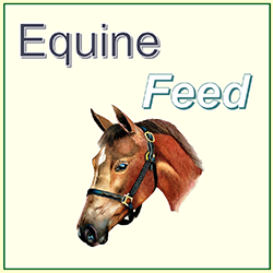 Equine feed