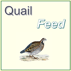 Quail feed