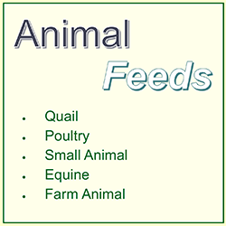 Animal Feeds